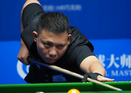 毛球领域整 毛球领域整