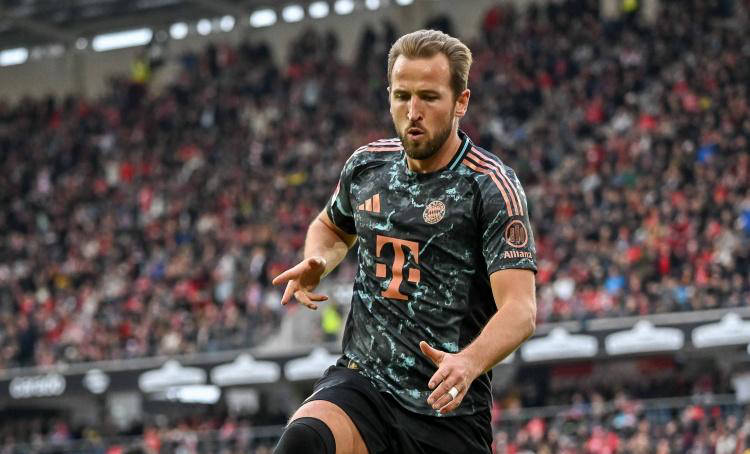 山东省大力 山东省大力