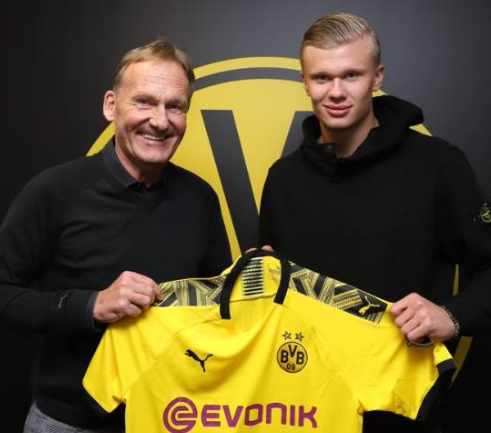 对雄鹿而言 对雄鹿而言